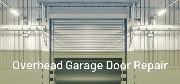  Overhead Garage Door Repair 
